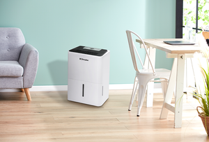 Dimplex DC12DEPUR 12L Dehumidifier with Air Purifier